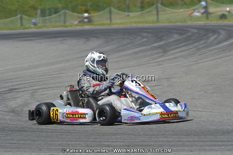 DSC_6408.JPG