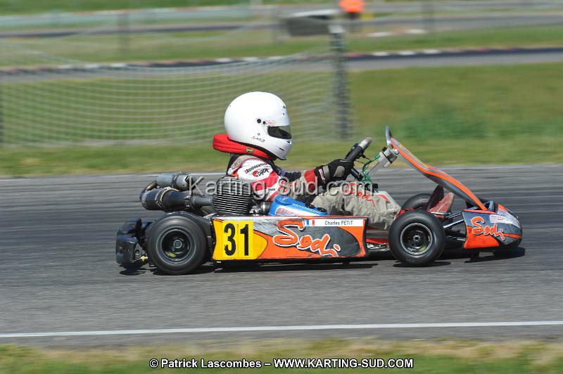 DSC_6488.JPG