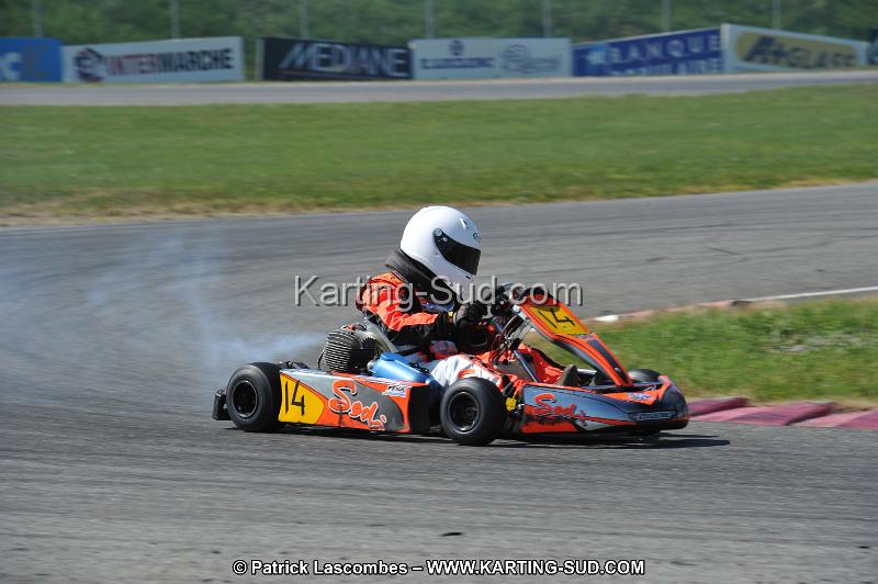 DSC_6528.JPG