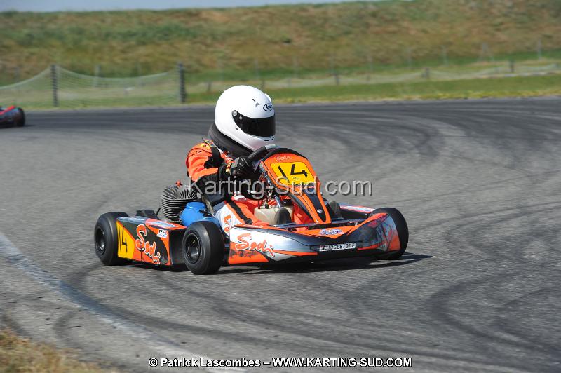DSC_6545.JPG