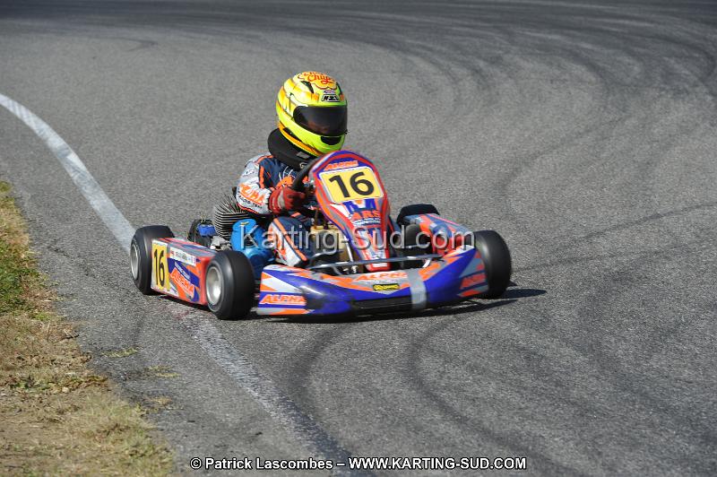 DSC_6611.JPG