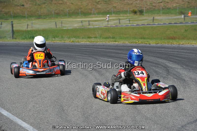 DSC_6623.JPG