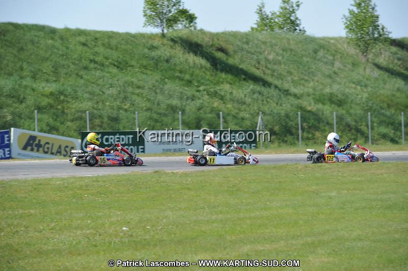 DSC_6626.JPG