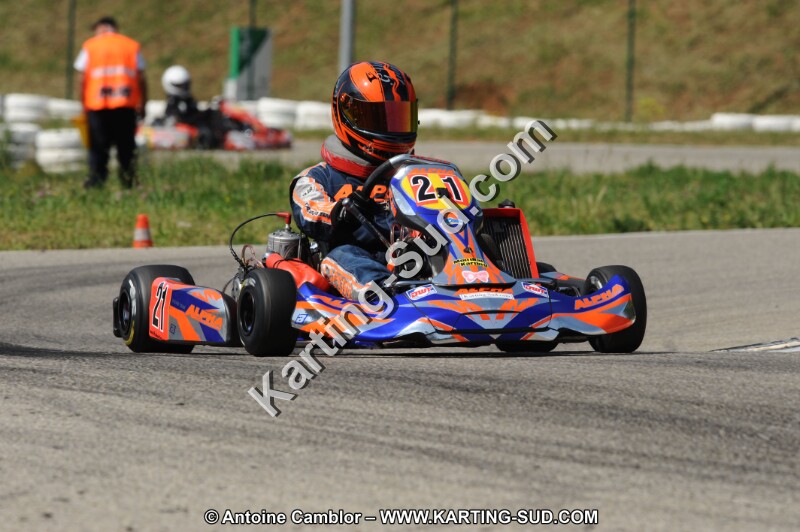 DSC_1351.JPG