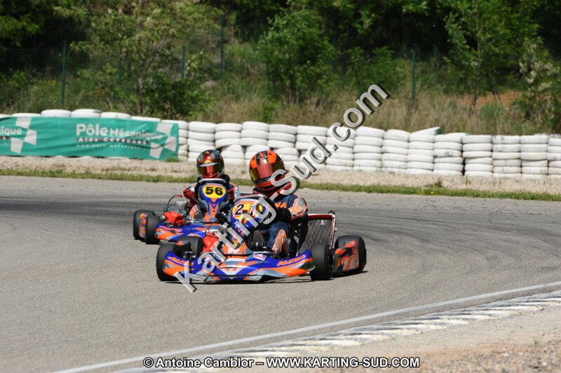 DSC_2315.JPG