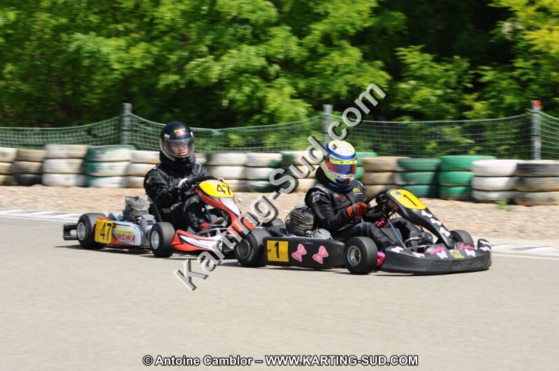 DSC_2488.JPG
