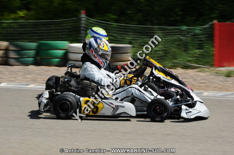 DSC_2520.JPG