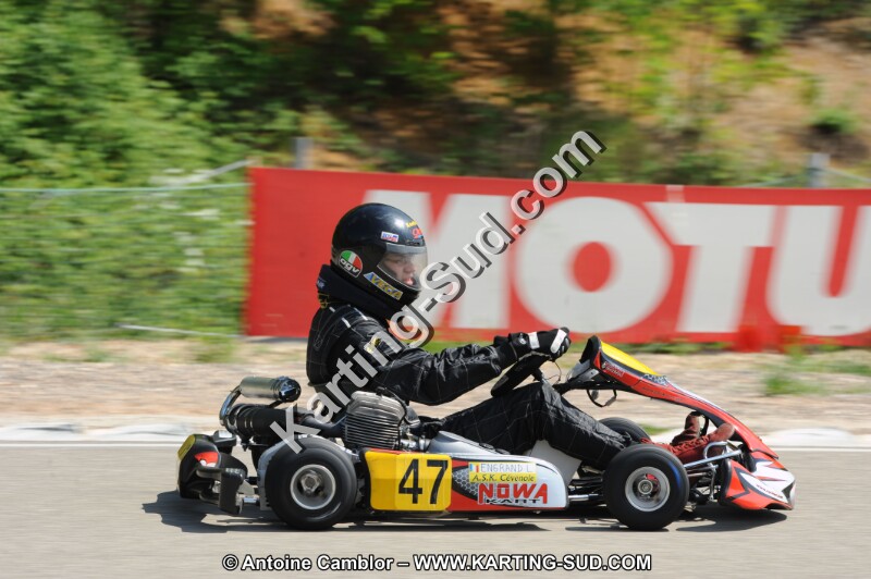 DSC_2530.JPG