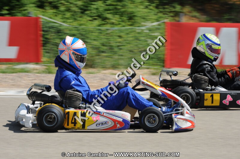 DSC_2538.JPG