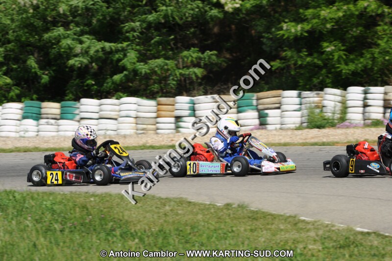 DSC_2645.JPG