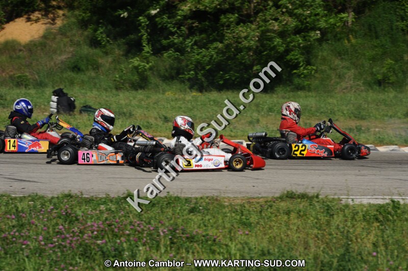 DSC_3130.JPG