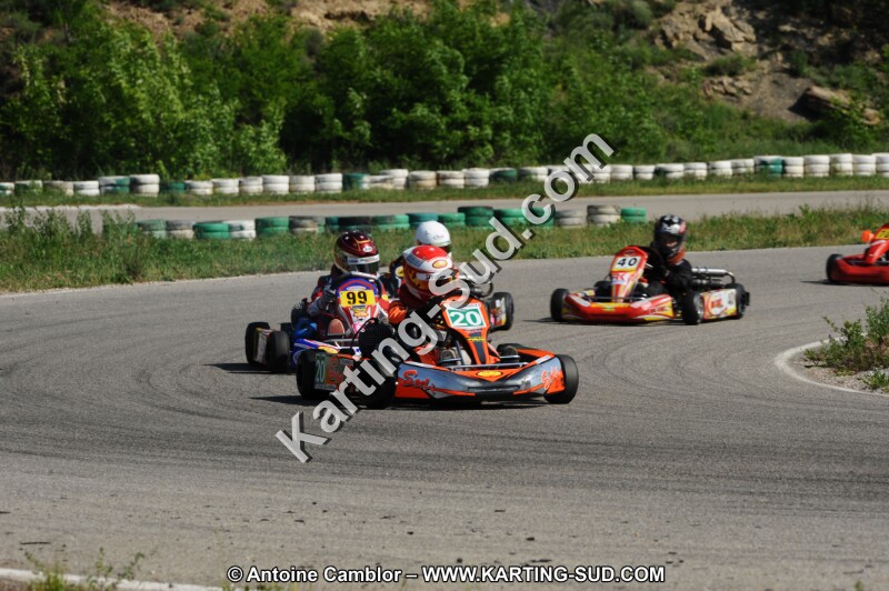 DSC_3133.JPG
