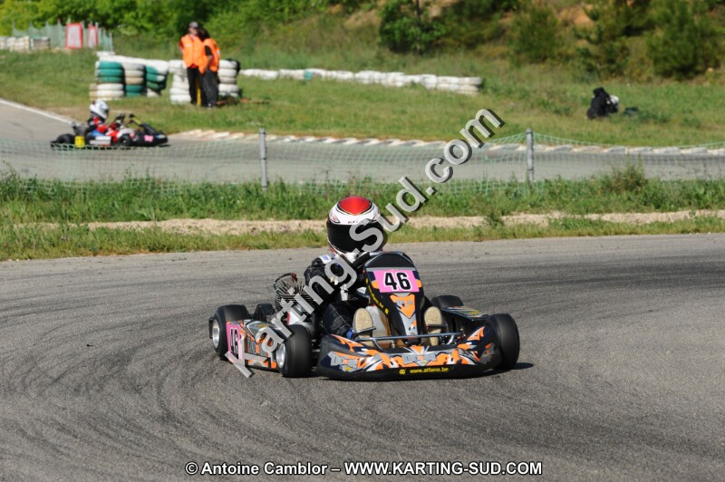 DSC_3175.JPG