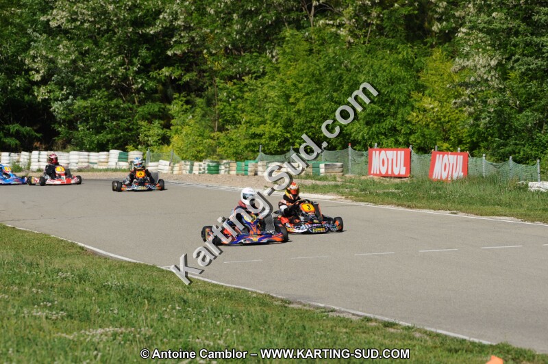 DSC_3231.JPG