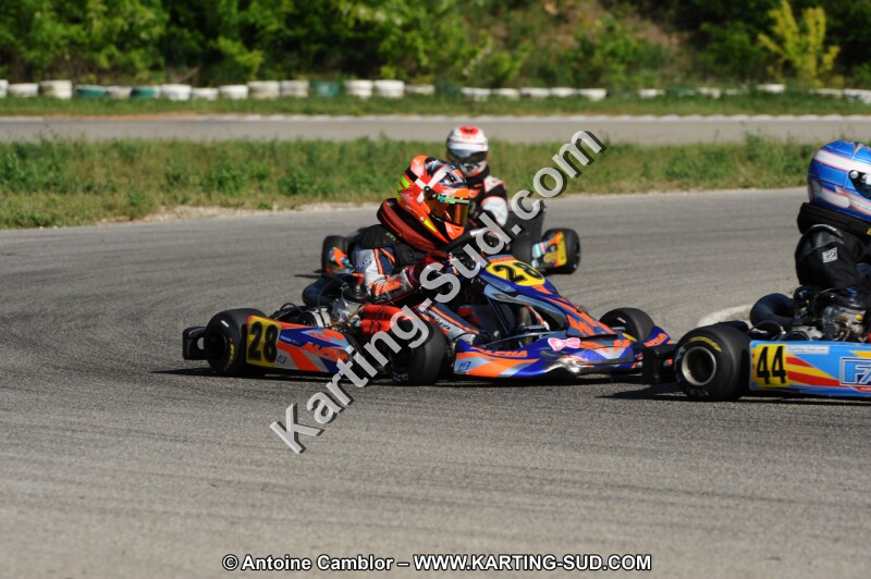 DSC_3239.JPG