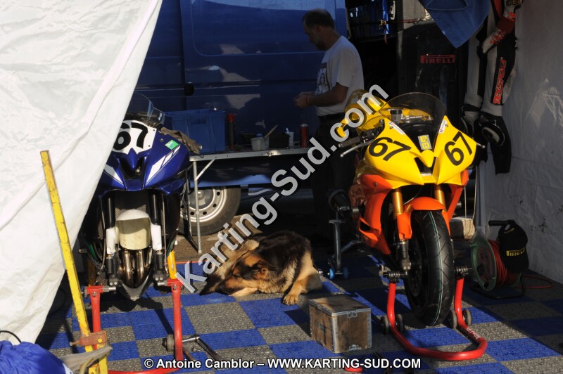 DSC_7408.JPG