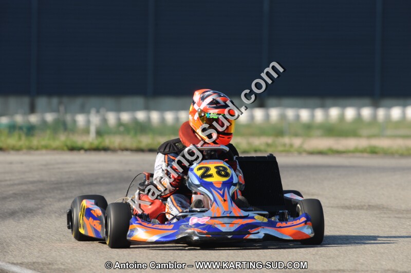 DSC_7528.JPG