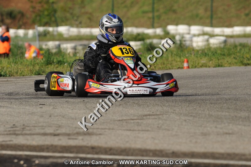 DSC_7669.JPG