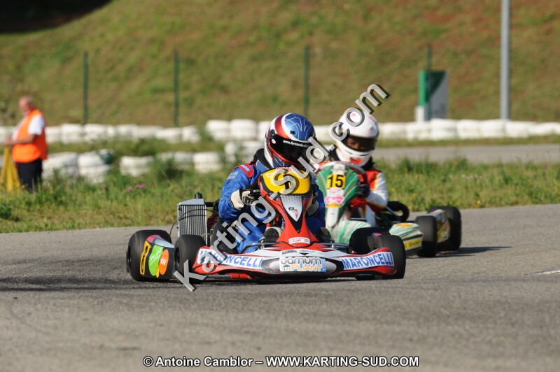 DSC_7780.JPG