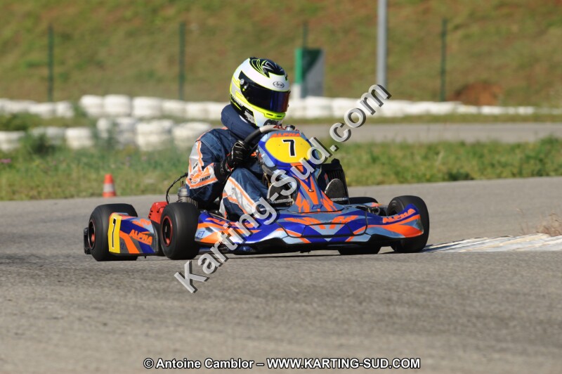 DSC_7849.JPG