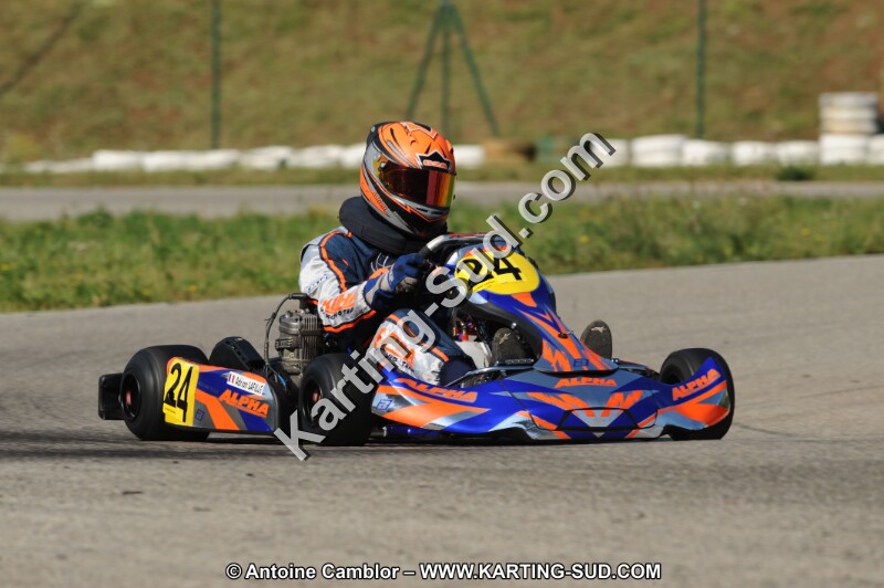 DSC_7890.JPG