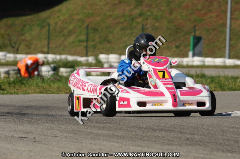 DSC_7959.JPG