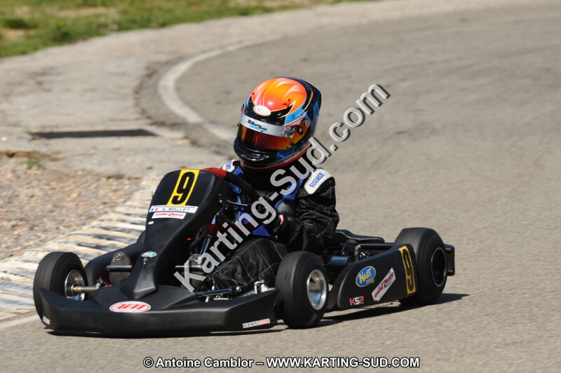 DSC_8158.JPG