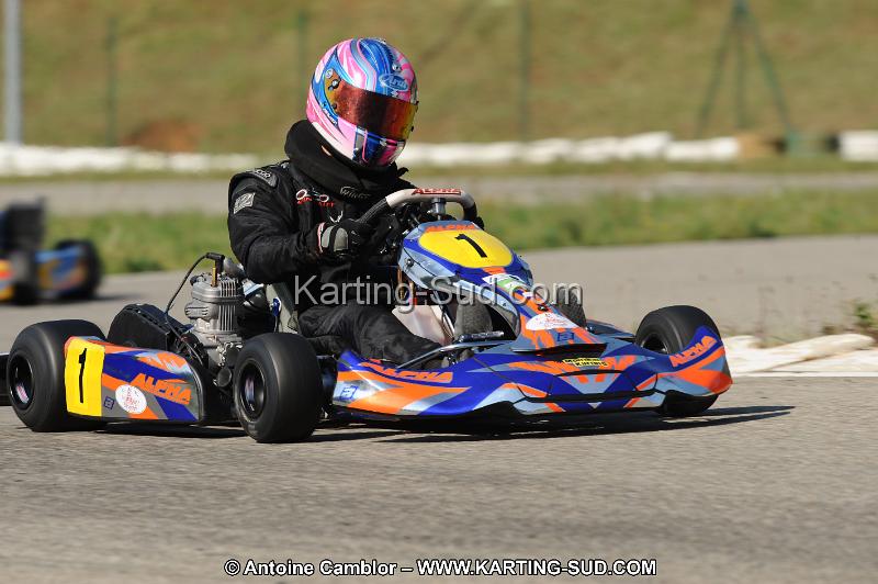 DSC_7868.JPG