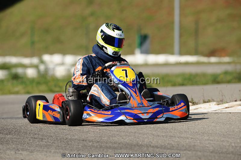 DSC_7917.JPG