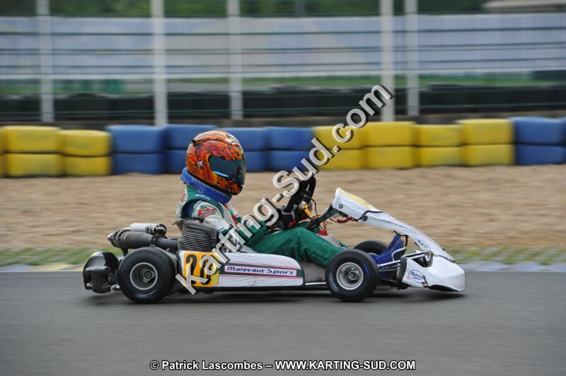 DSC_0264.JPG