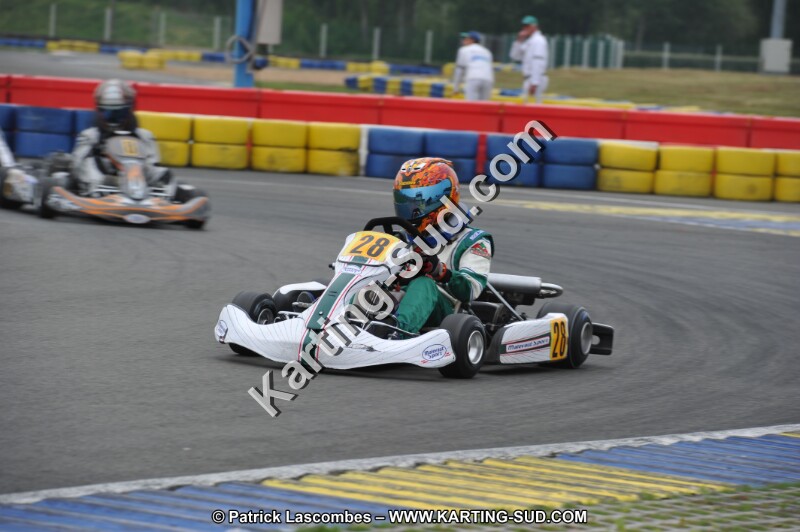 DSC_0501.JPG