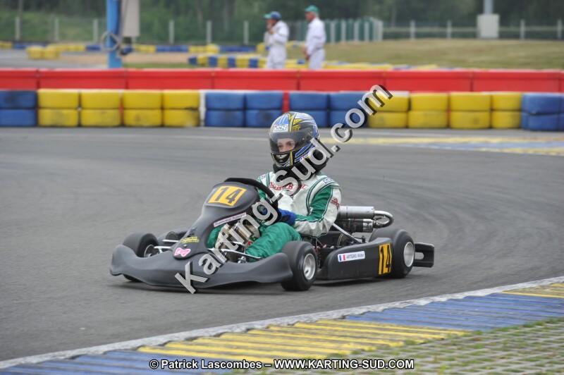 DSC_0511.JPG