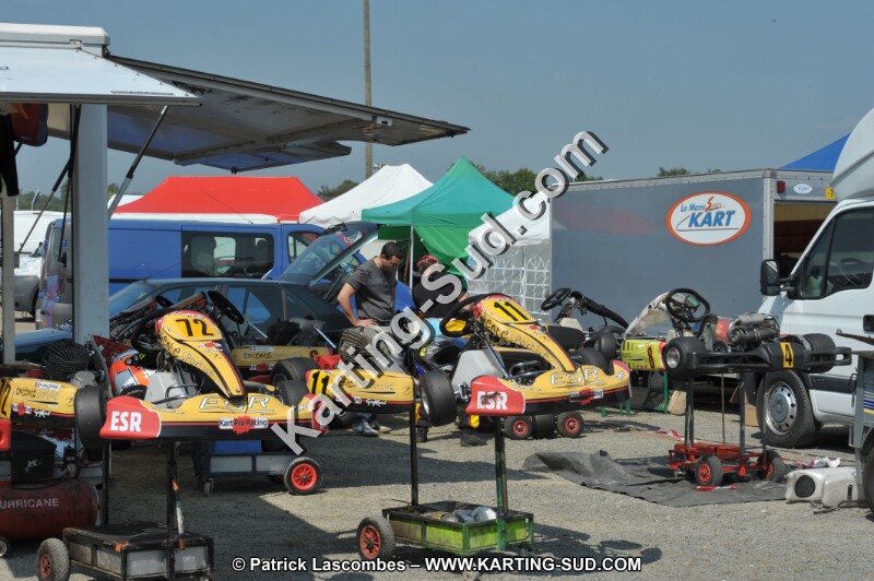 DSC_5981.JPG