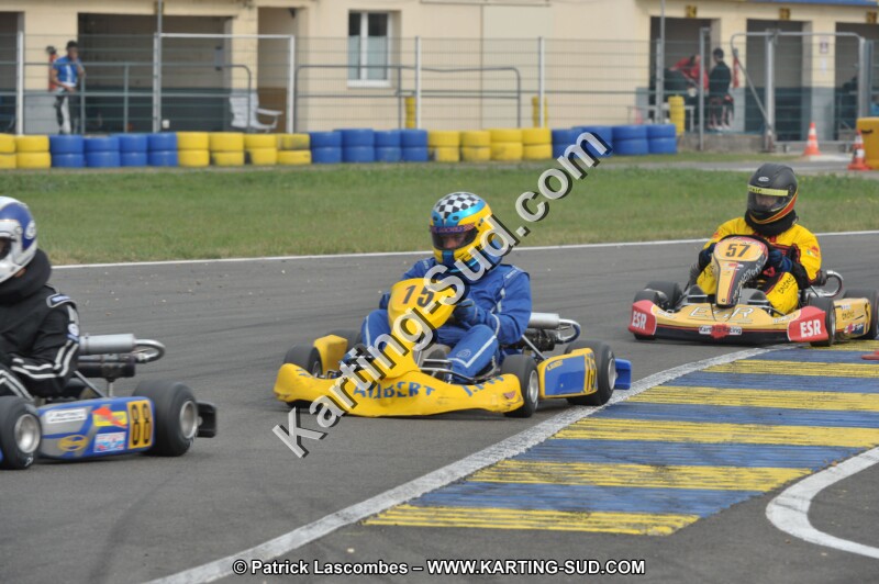 DSC_7651.JPG