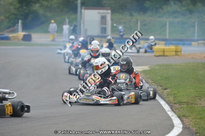 DSC_7667.JPG
