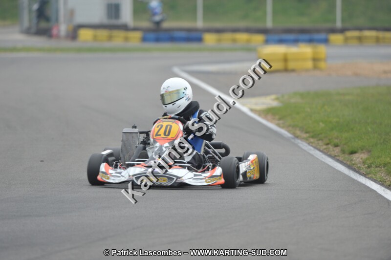 DSC_7703.JPG