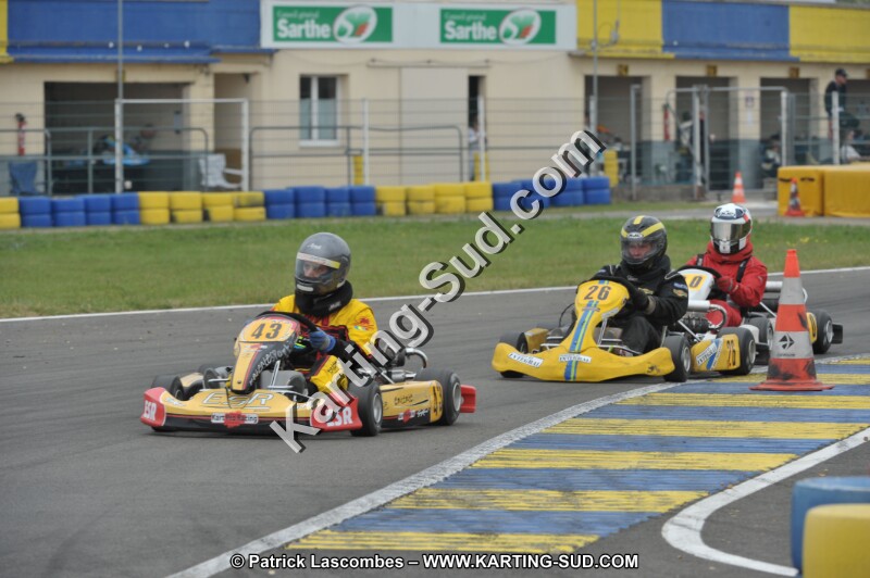 DSC_7768.JPG