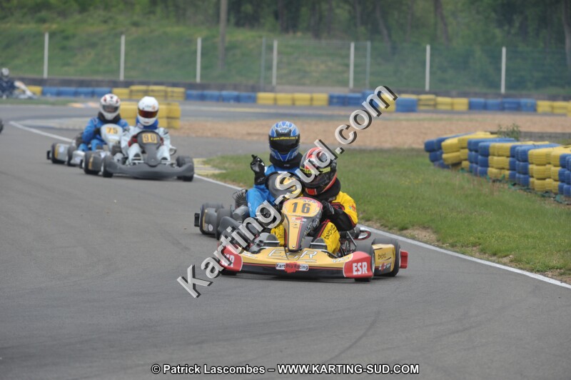 DSC_7776.JPG