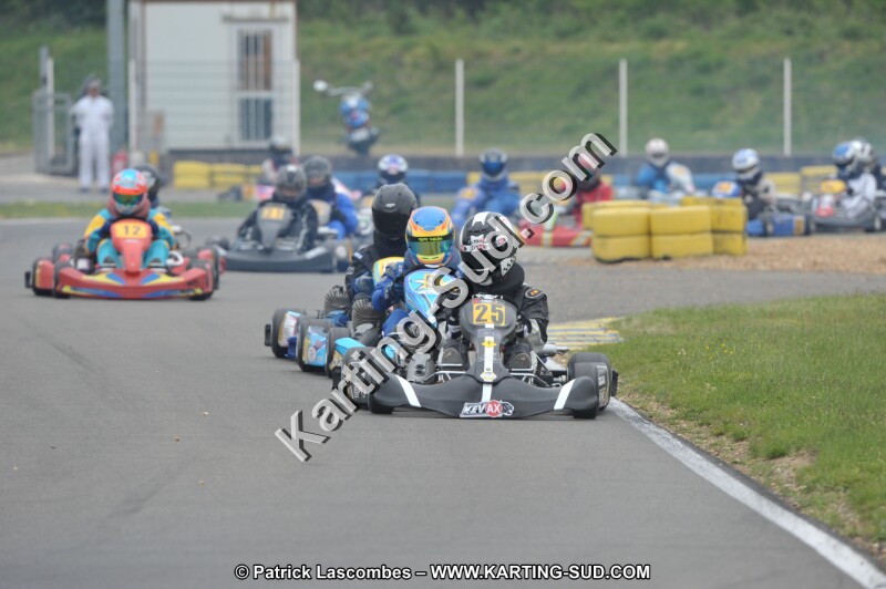 DSC_7784.JPG