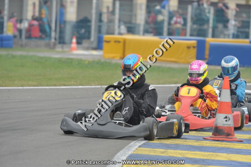 DSC_7888.JPG