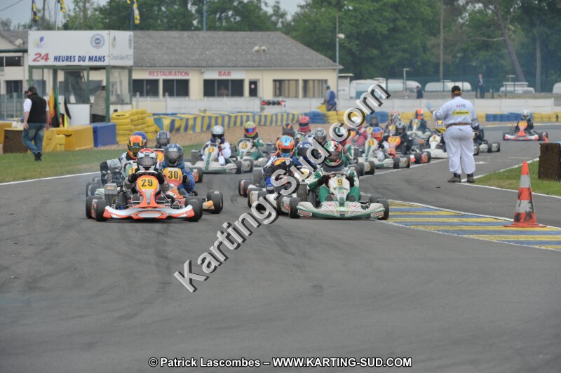 DSC_7926.JPG