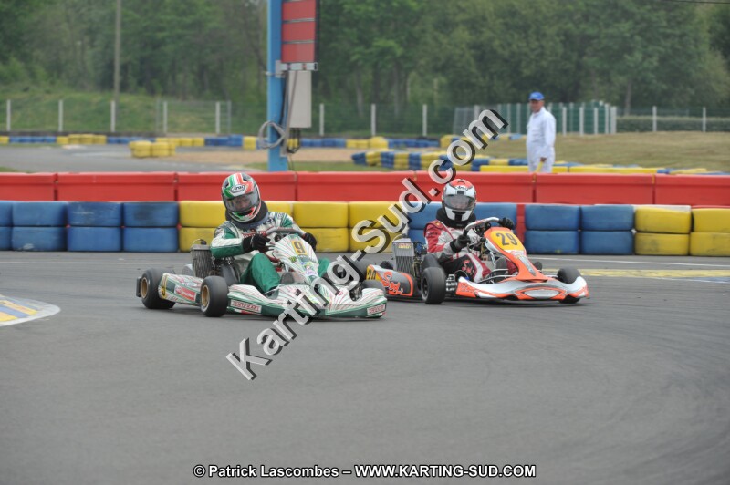 DSC_7928.JPG