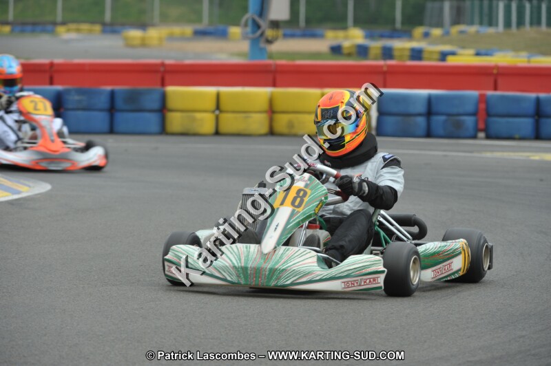 DSC_7950.JPG