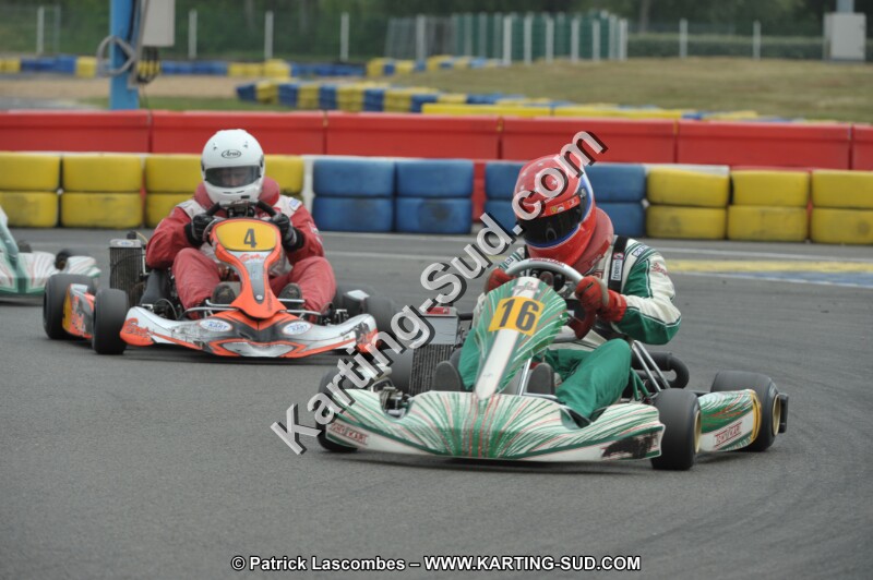 DSC_7955.JPG