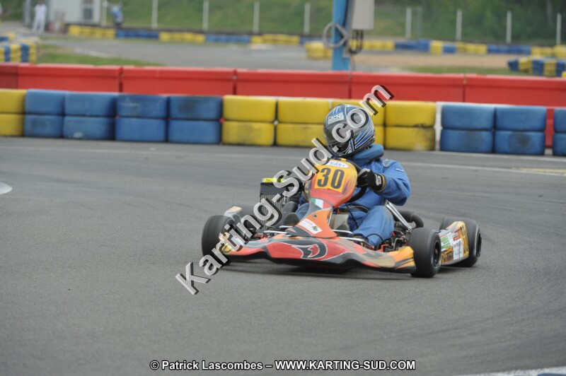 DSC_7990.JPG
