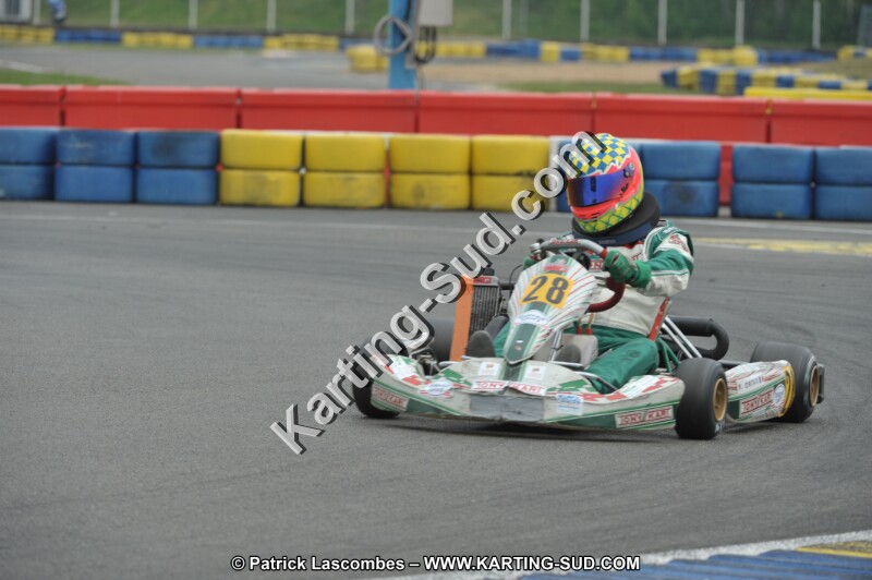 DSC_7995.JPG