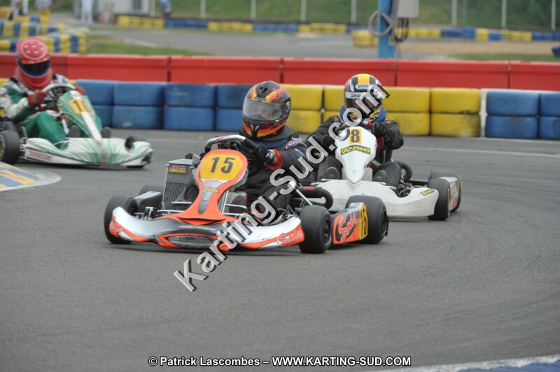 DSC_7998.JPG