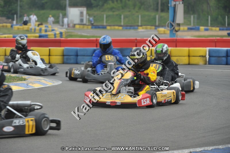 DSC_8142.JPG