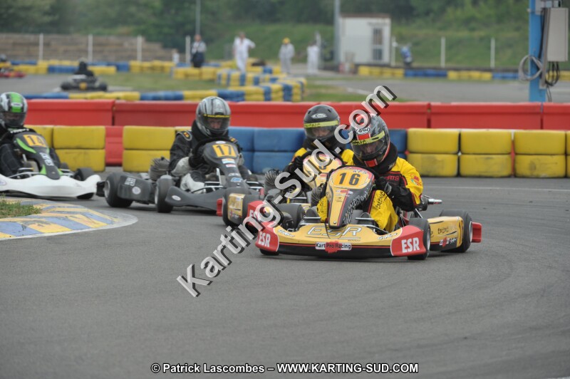 DSC_8174.JPG