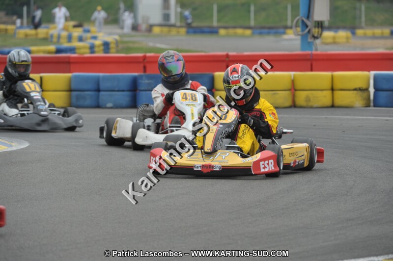 DSC_8213.JPG